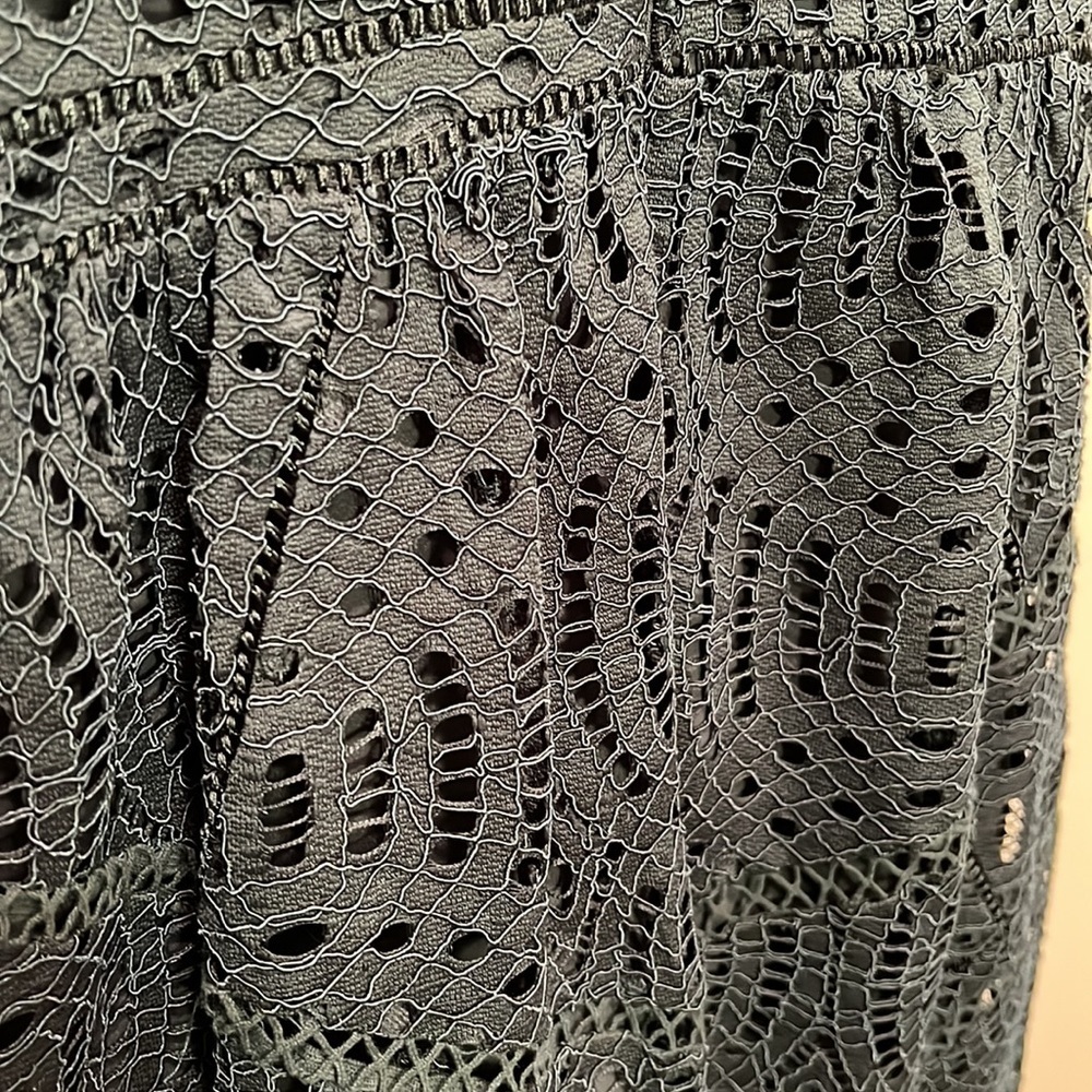 045 Ann Taylor Dark Green Lace Dress - Picture 9 of 9